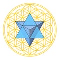 Flower of Life with Merkaba, star tetrahedron in the center of ancient symbol