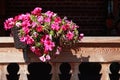Flowerpot On Balcony Royalty Free Stock Photo