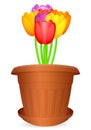 Flowerpot bouquet tulips