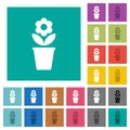 flowerpot with flower and leaves solid square flat multi colored icons