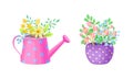 Flowerpot with Flowering Meadow Plant and Blooming Flora Bouquet Vector Set