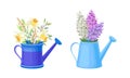 Flowerpot with Flowering Meadow Plant and Blooming Flora Bouquet Vector Set