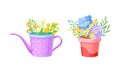 Flowerpot with Flowering Meadow Plant and Blooming Flora Bouquet Vector Set