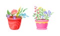 Flowerpot with Flowering Meadow Plant and Blooming Flora Bouquet Vector Set