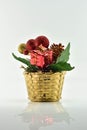 Flowerpot and and gift boxes on white background