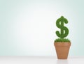 A flowerpot with grass green dollar sign on the table. Royalty Free Stock Photo