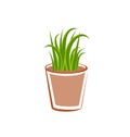 Flowerpot with green grass plants