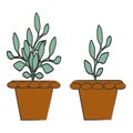 Flowerpot green leaves in flat style of terracotta flower pots. Empty ceramic brown flowerpots .