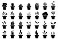 Flowerpot icons. Set of floral plants in pots. Plant in pot isolated