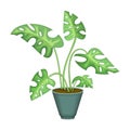 Flowerpot vector cartoon icon. Vector illustration flowerpot on white background. Isolated cartoon illustration icon of