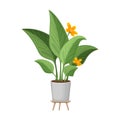 Flowerpot vector cartoon icon. Vector illustration flowerpot on white background. Isolated cartoon illustration icon of