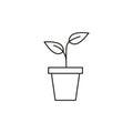 Flowerpot vector icon