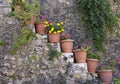 Flowerpots Royalty Free Stock Photo