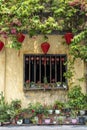 Flowerpots with flowers, yellow wall and window with red chinese lanterns in Hoi An old town, Vietnam Royalty Free Stock Photo