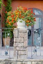 Flowerpots and house plants on the balcony Royalty Free Stock Photo