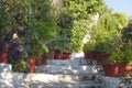 Flowerpots with plantson old thin streets in center of Athens