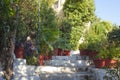 Flowerpots with plantson old thin streets in center of Athens