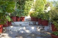 Flowerpots with plantson old thin streets in center of Athens