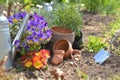 Flowerpots and seeds with shovel planting in the soil