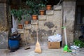 Flowerpots stairs with green flowers, broom and trash boxes in a small courtyard