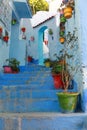 Flowerpots on the steps