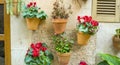 flowerpots street in the tourist island of Mallorca, Valdemosa c Royalty Free Stock Photo
