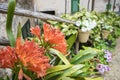 flowerpots street in the tourist island of Mallorca, Valdemosa c Royalty Free Stock Photo