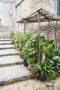 flowerpots street in the tourist island of Mallorca, Valdemosa c Royalty Free Stock Photo