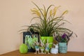 Flowerpots, wooden Easter bunnies with the text Easter on the Easter eggs and other decoration