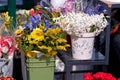 Spring flowers arranged in a flower shop