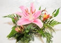 Decoration with pretty pink lily. oriental. Lily stargazer. Lilium. Liliaceae. Royalty Free Stock Photo