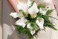 Bouquet of calla lilies or gannets. Zantedeschia aethiopica. Calla lily. Gannet. Royalty Free Stock Photo