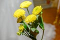 Close up view of yellow flowers. Gold buttons. Tansy. Tanacetum vulgare.