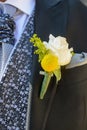 Boutonniere. White rose and yellow flower. Globose craspedia.  Craspedia variabilis. Pycnosorus globosus, billy buttons. Santolina Royalty Free Stock Photo