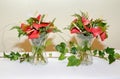 Two vases with red anthurium plants on a table. anthurium andreanum.