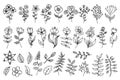 Flowers, branches and leaves, vectot thin line illustration set, floral design elements isolated on white background Royalty Free Stock Photo