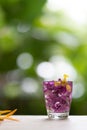 Abstractive organic close up glass of purple colour of flowers