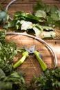 Gardening scissors flowers and accessories Royalty Free Stock Photo