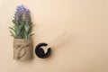 Flowers, activated charcoal and wooden spoon on camel color background. Zero waste concept