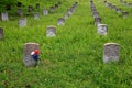 Flowers Adorn Civil War Gravestone