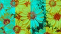 Flowers Aesthetic Watercolor Wallpaper