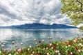 Flowers against mountains, Montreux. Switzerland