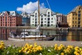 Flowers of Alesund Royalty Free Stock Photo