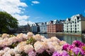 Flowers of Alesund Royalty Free Stock Photo