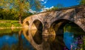 Flowers along Antietam Creek and Burnside Bridge, at Antietam National Battlefield Royalty Free Stock Photo