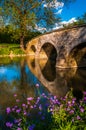 Flowers along Antietam Creek and Burnside Bridge, at Antietam National Battlefield Royalty Free Stock Photo