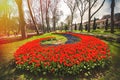 Flowers during the annual April tulip festival in Istanbul in Gulhane Park