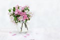 Flowers apple tree, pink and white blossom in glass vase on white wooden table on a light background with space for text Royalty Free Stock Photo