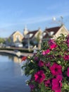 Flowers around a canal in Joure