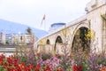 Flowers around Vardar River and the Ottoman Stone Bridge, Skopje Royalty Free Stock Photo